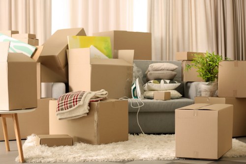 Professional movers carrying household items in Streatham